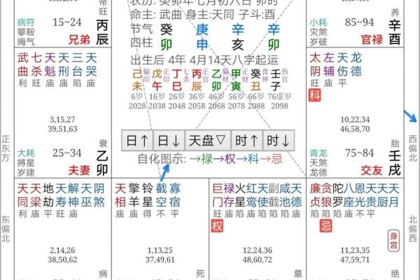 2025年2月17日丑时男命紫微斗数全解盘