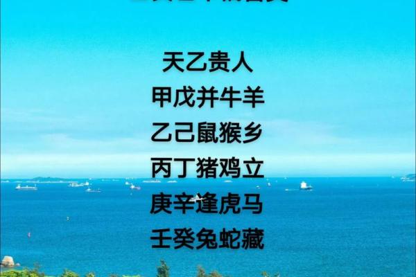 兵在精而不在多什么生肖