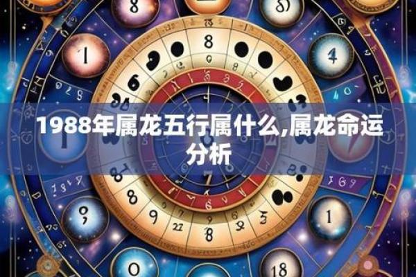 88年龙五行属什么_1988年龙五行属什么