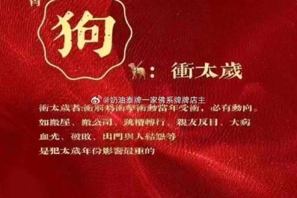 1982年属狗最难熬年龄_82年属狗43岁八大预兆