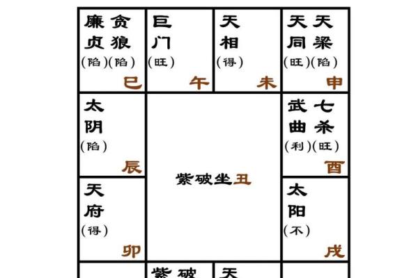 2025年2月26日寅时男命紫微斗数全解盘