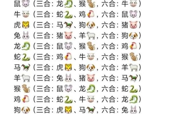 属狗哪年出生 八十几岁属兔的是哪年出生的