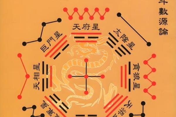 2025年2月26日寅时女命紫微斗数全解盘