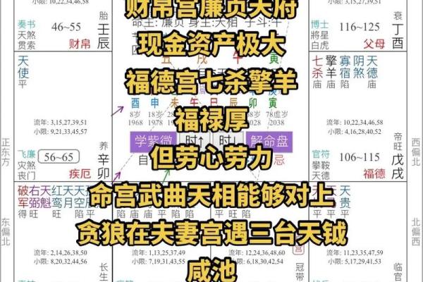 2025年2月26日寅时女命紫微斗数全解盘