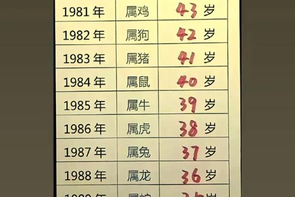1893年属什么生肖