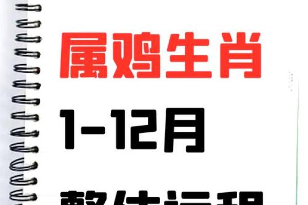 2005年属鸡今年多大_2005年属鸡的现在多少岁