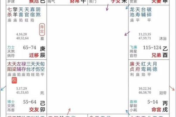 查紫薇斗数命盘揭秘你的命运轨迹与未来运势
