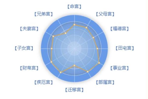 查紫薇斗数命盘揭秘你的命运轨迹与未来运势