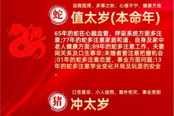 2025属猪人_2025属猪人犯太岁戴什么好