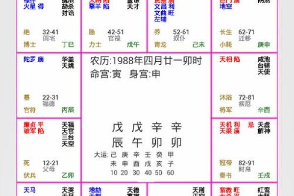 2025年2月23日卯时男命紫微斗数全解盘