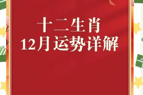 2026年属马人的运势_2026年属马人的运势怎么样