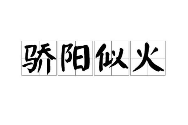朝阳似火是什么生肖