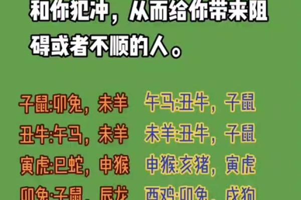 明争暗斗指什么生肖