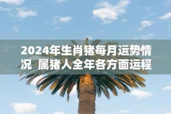1995年属猪女2024年运势 1995年属猪女2024年运势详解财运事业感情全解析