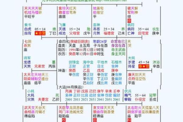 2025年2月28日子时女命紫微斗数全解盘