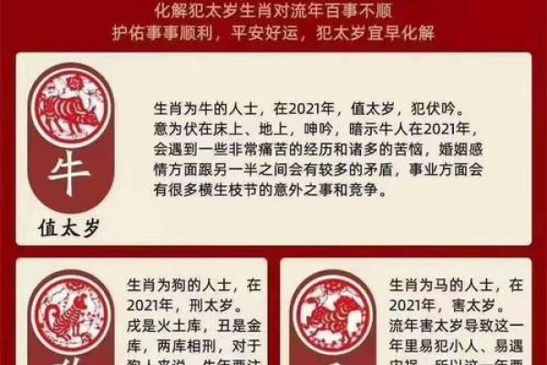 星火灿烂是什么生肖(星火灿烂是什么生肖)