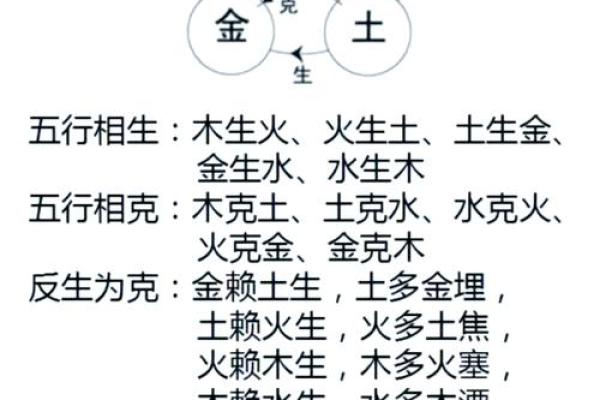 免费八字四柱查询 免费八字四柱查询精准命理分析助你掌握未来运势