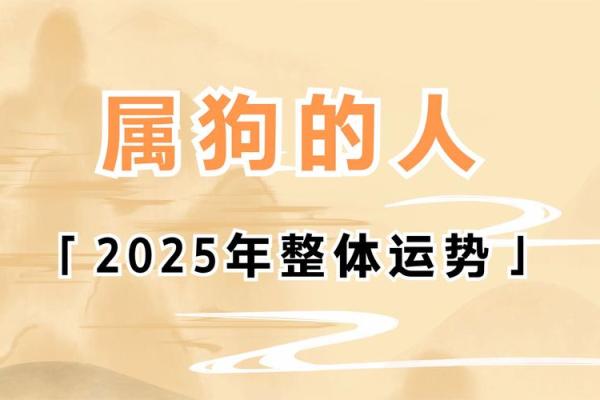1994年1月出生属鸡还是属狗生肖划分详解