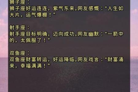 2025年星座感情运势_2025年星座感情运势大揭秘爱情运势全解析