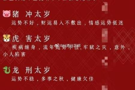 71年男猪2025年运势完整版 2025年羊男1991运程
