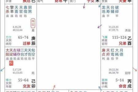 查紫薇斗数命盘揭秘你的命运轨迹与未来运势