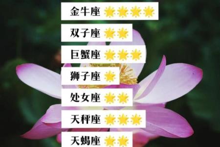 2025年4月8日白羊座今日星座运势(2025年4月8日白羊座今日星座运势女)