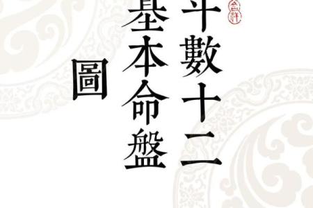 2025年2月22日丑时男命紫微斗数全解盘