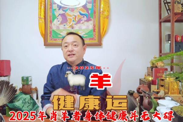 2025属羊多大年龄_2025年属羊的多少岁