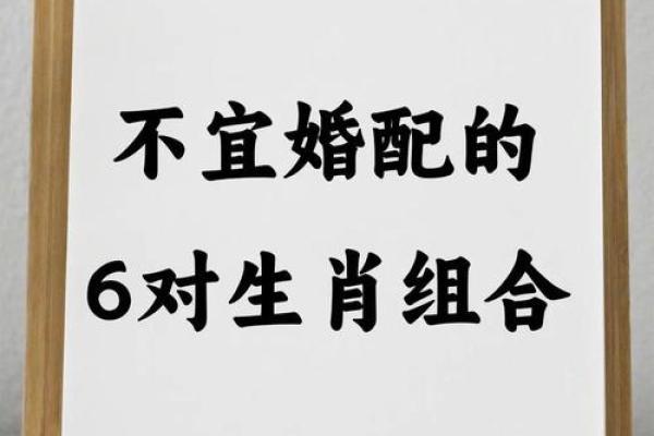 无家可归打一生肖