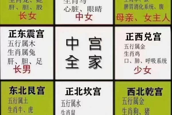 地劫在子女宫代表什么 地劫在子女宫的含义解析影响与应对策略