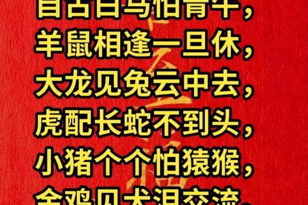 走南闯北是什么生肖(走南闯北是什么生肖百度一下)