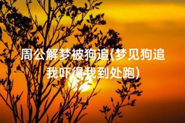 梦见狗