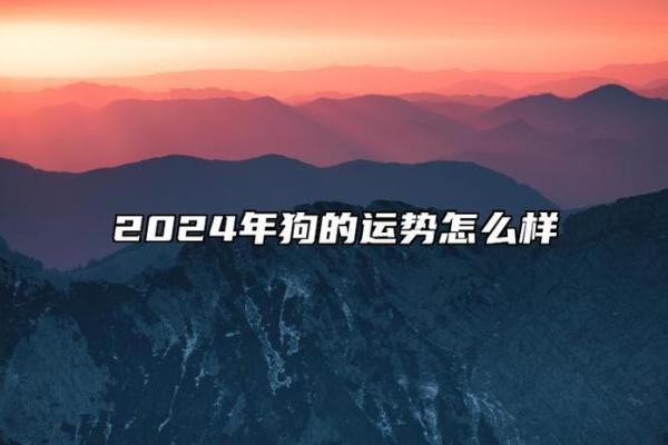 2025属狗今年多大年纪了 2025年属狗人今年多大年龄计算与运势解析