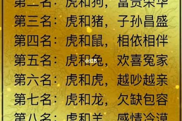 属龙2000年女上等婚配 00年属龙女金秋十月上等姻缘配对指南