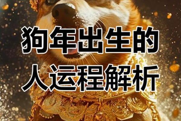82年属狗女在2025年的运势和财运_82年属狗女在2025年的运势和财运如何