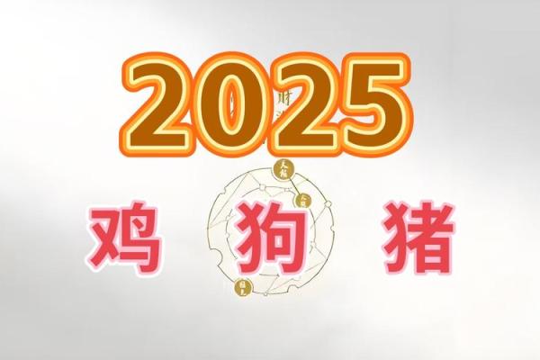2025年93鸡运势解析财运事业爱情全面预测