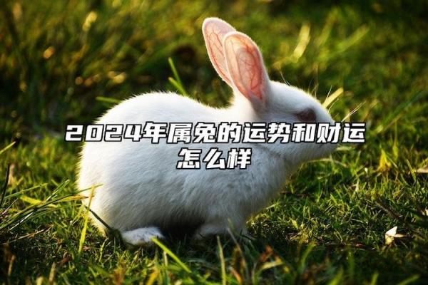 1975年属兔2024年运势及运程详解_1975年生肖兔2024年运势大全