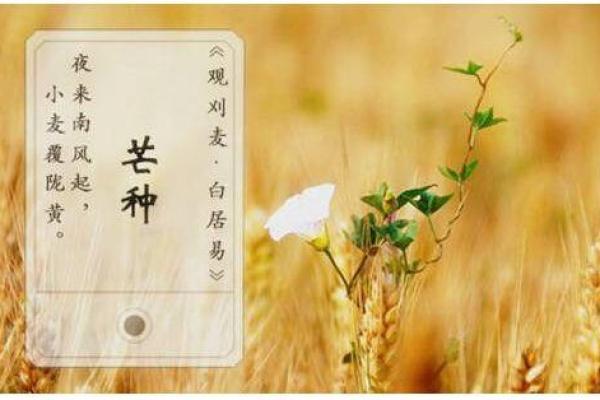 2020年芒种