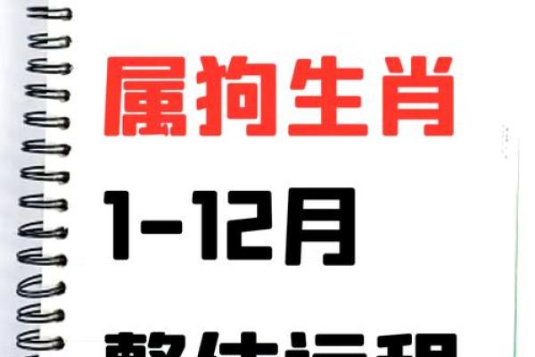 2025年属狗的运气 2025年属狗运势详解财运事业感情全解析