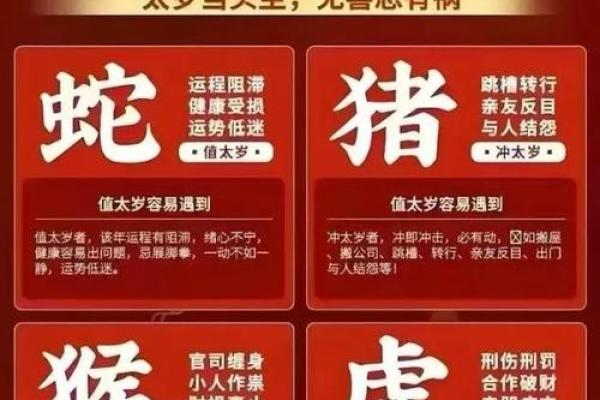 三餐必备是什么生肖(三餐吃饱是什么生肖)