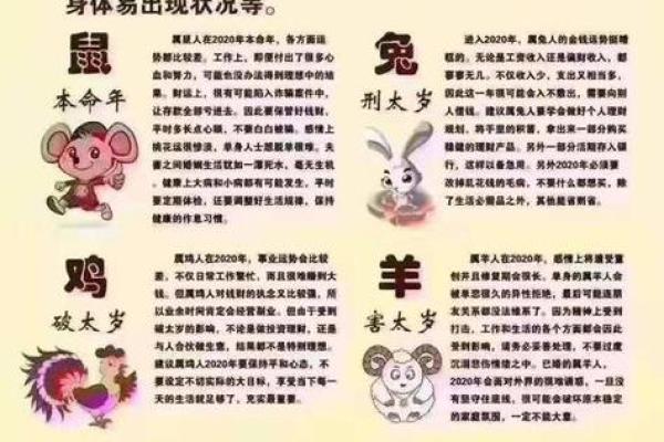1987年属兔2025年运势完整版_87属兔2025年有三喜