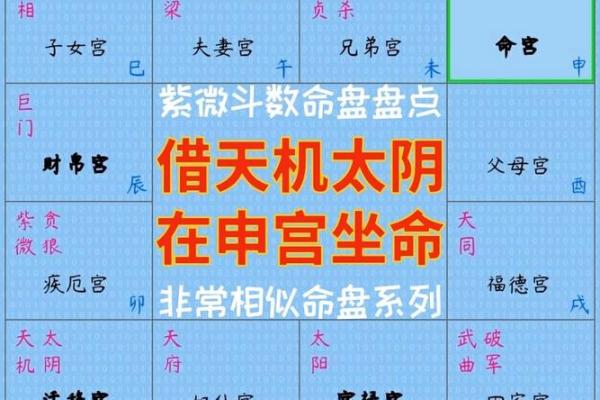夫妻宫太阴_夫妻宫太阴禄存