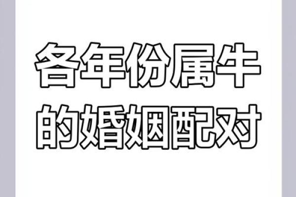 97年属牛人的姻缘_97年属牛人的姻缘预测