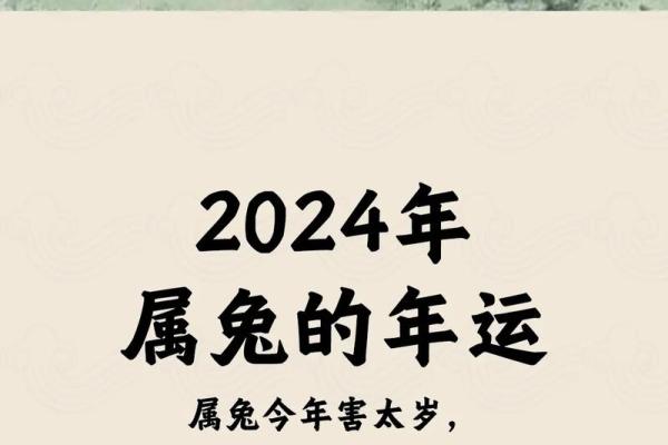99年属兔2025运势_99年属兔到25岁的运势