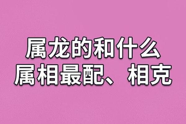属猪和属龙的婚姻相配吗 属猪和属龙相配吗会好吗
