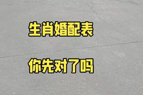 属马与属兔婚配怎样_属马和属兔婚配好不好