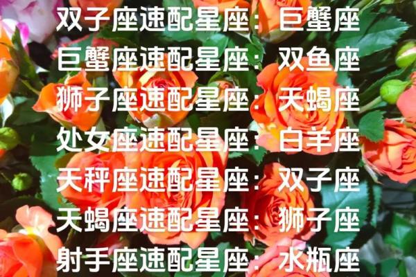白羊座和什么最配对(白羊座和巨蟹座的配对指数)