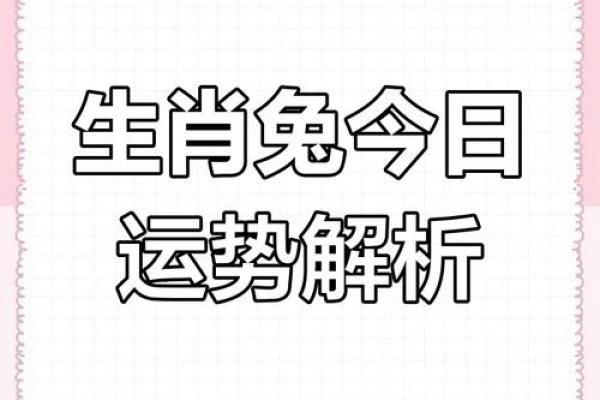 75年2025年属兔人的全年运势_75年2025年属兔人的全年运势怎么样