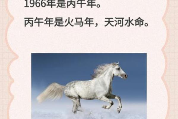 1954年属马的今年多大岁数了_1954年属马吗