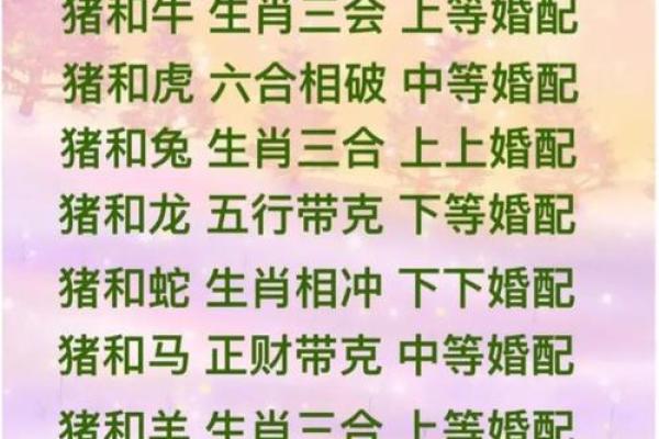 1971年属猪男在2025年运势_1971年猪男在2022年运势